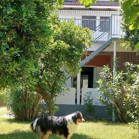 .....Und Der Hund Darf Mit Apartment Privlaka  Exterior photo