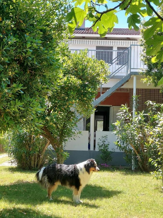 .....Und Der Hund Darf Mit Apartment Privlaka  Exterior photo